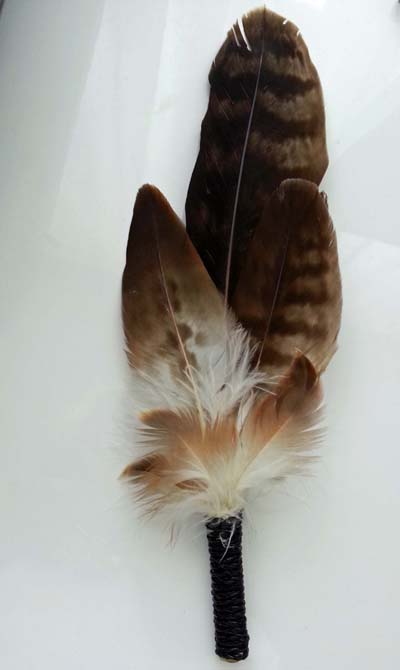 (image for) Wedged Tail Eagle Smudge Fan